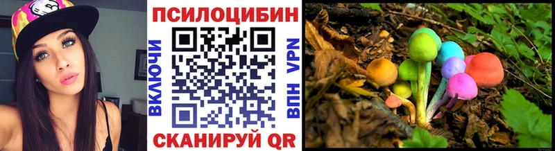 закладка  блэк спрут сайт  Псилоцибиновые грибы мухоморы  Саяногорск 
