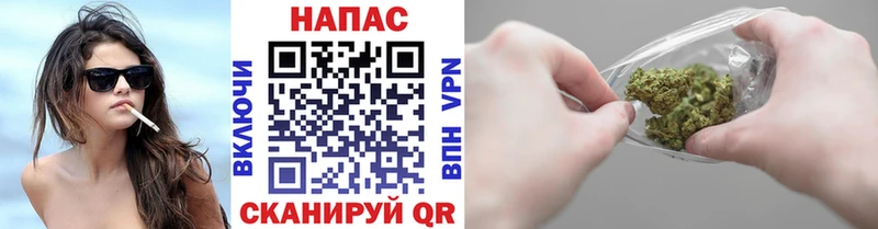 Бошки марихуана планчик  MEGA рабочий сайт  Саяногорск 